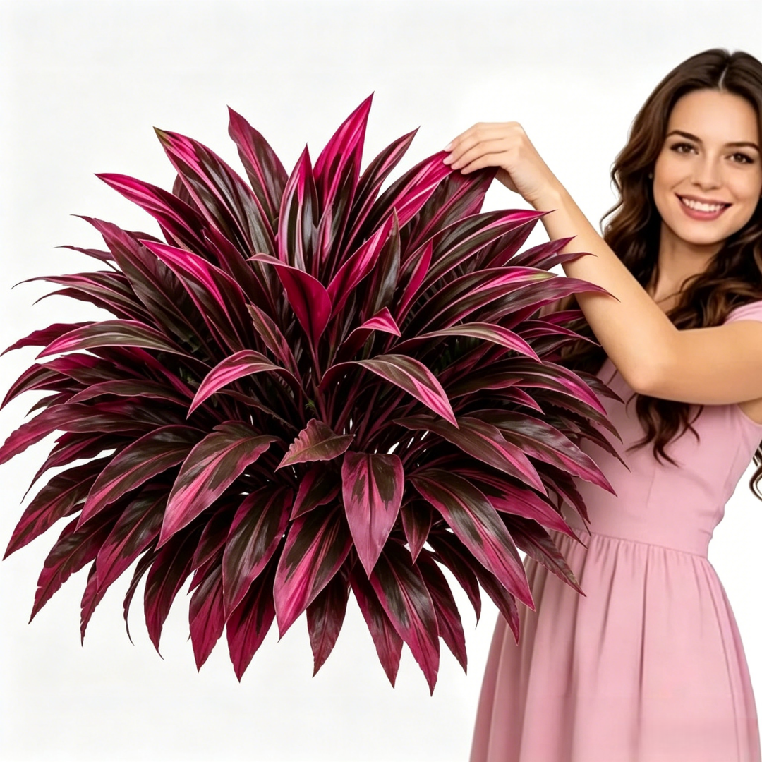💥Large UV-Resistant Artificial Dracaena Plant – Full, Lush & Fade-Resistant!