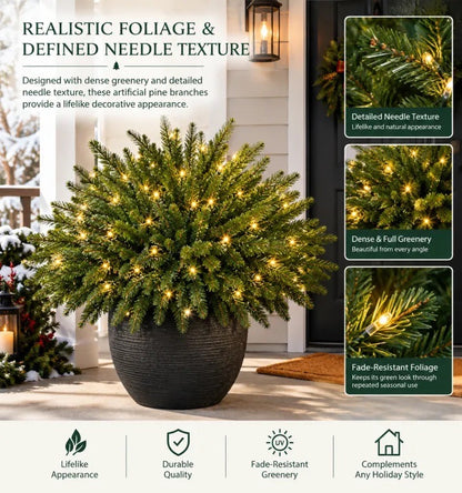 🔥Last Day 50% OFF🎄Enchanted Evergreen Pine with Lights