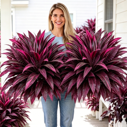 💥Large UV-Resistant Artificial Dracaena Plant – Full, Lush & Fade-Resistant!