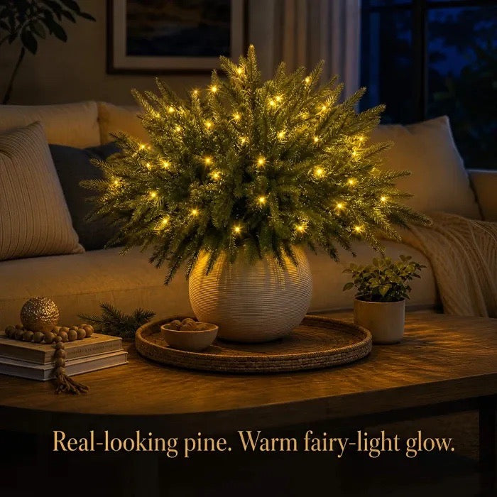 🔥Last Day 50% OFF🎄Enchanted Evergreen Pine with Lights