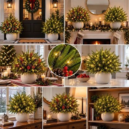 🔥Last Day 50% OFF🎄Enchanted Evergreen Pine with Lights