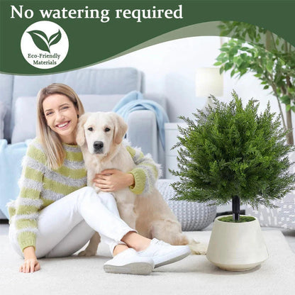 🔥 Last Day Sale Price | Artificial Cedar Landscape Tree – Porch & Gard – SunLife