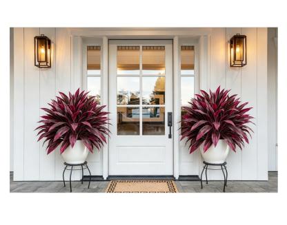 💥48" Large UV-Resistant Artificial Dracaena Plant – Full, Lush & Fade-Resistant!