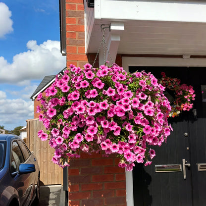 🌹Last Day 60% OFF🔥UV Resistant Artificial Petunias Flowers